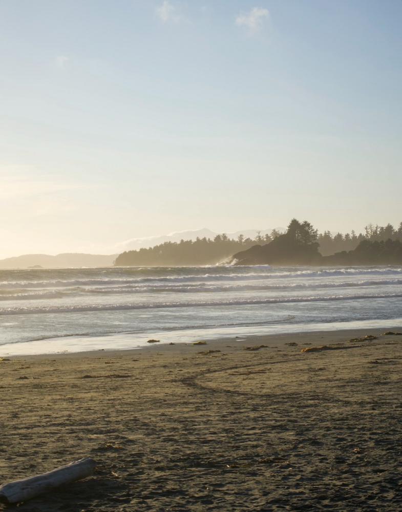 Calm morning beach with rolling waves