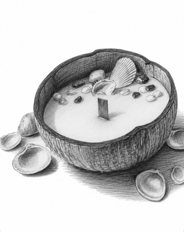 Pencil sketch of a coconut-shell candle surrounded by shells